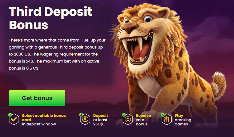 Bizzo Casino third deposit bonus official page, screenshot