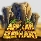 African Elephant Slot