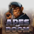 Apes of Doom Slot