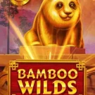 Bamboo Wilds Slot