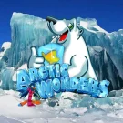 Arctic Wonders Slot