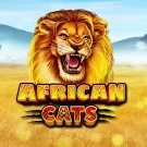 African Cats Slot