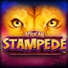 African Stampede Slot