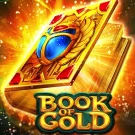 Book of Gold Slot