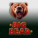 Big Bear Slot