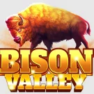 Bison Valley Slot