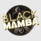 Black Mamba Slot