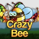 Crazy Bee Slot