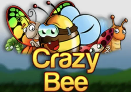 Crazy Bee Slot