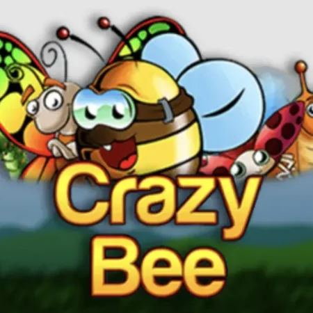 Crazy Bee Slot