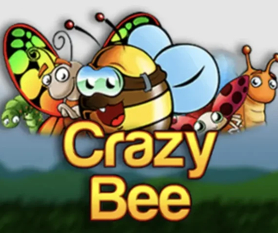 Crazy Bee Slot