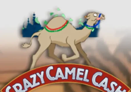 Crazy Camel Cash Slot