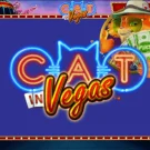 Cat in Vegas Slot