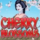 Cherry Blossom Slot