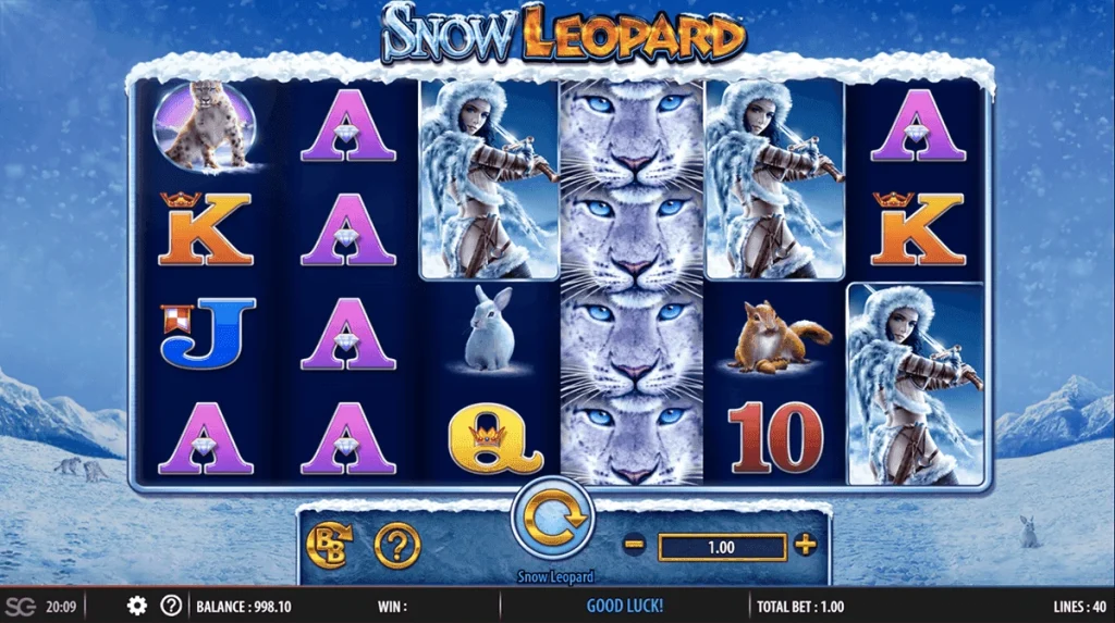 Screenshot of Snow Leopard slot