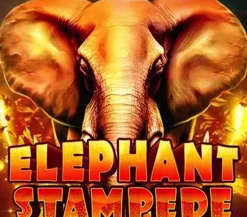 Elephant Stampede Slot