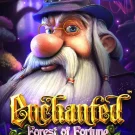 Enchanted: Forest of Fortune Slot