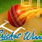 Cricket Winner Slot