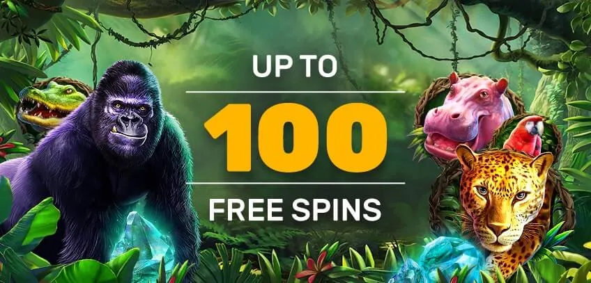 Betamo Casino Monday Free Spins: Up to 100 Free Spins for Gorilla Mayhem