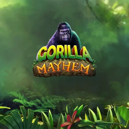 Betamo Casino Monday Free Spins: Up to 100 Free Spins for Gorilla Mayhem