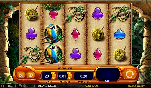 Play WMS games